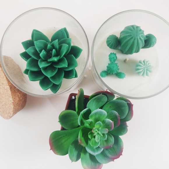 Mini terrarium succulent cactus soy wax candle - Picture 3 of 4